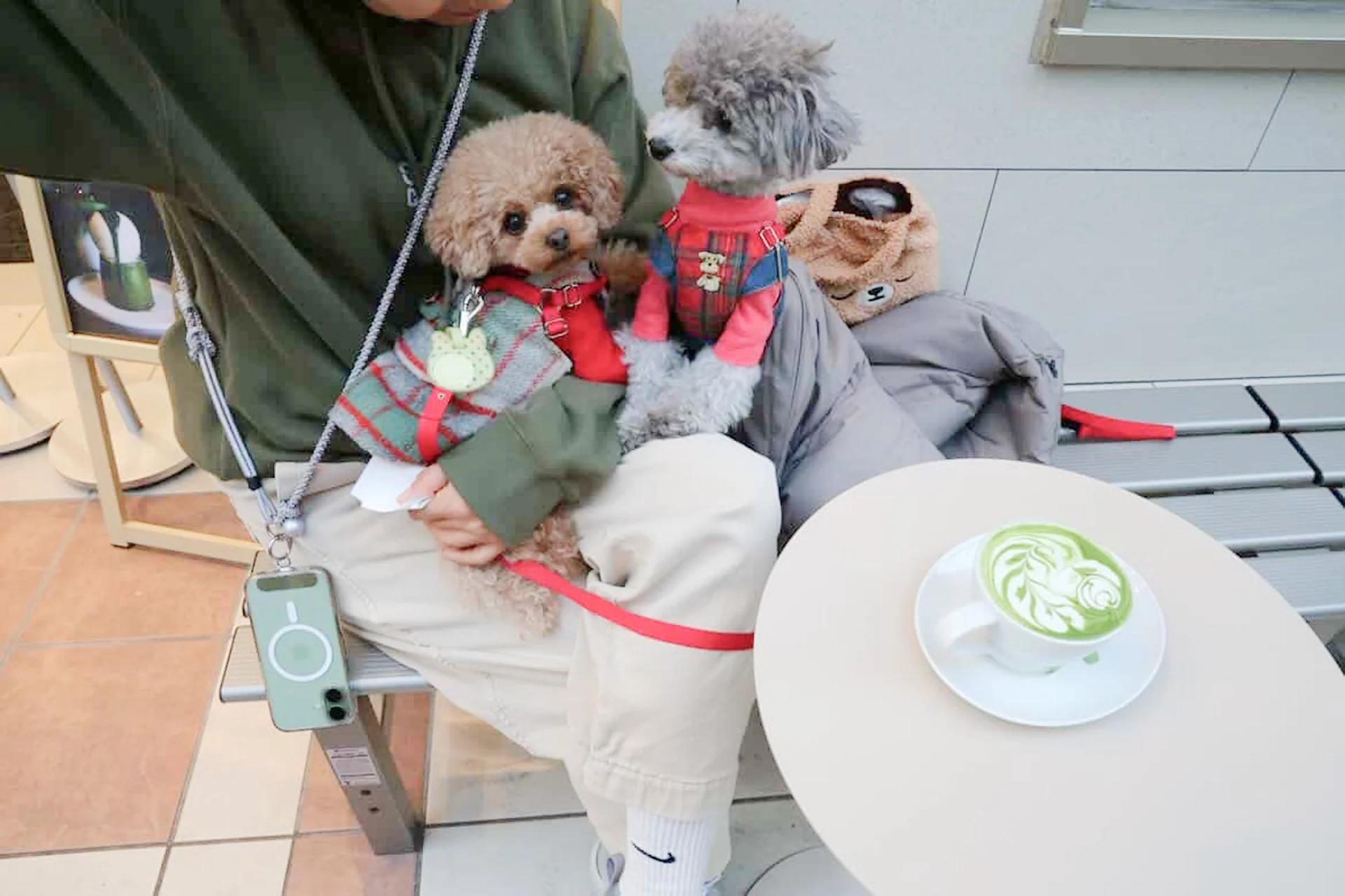 LATTE ART MANIA GINZA(東京都中央区)の犬同伴・ワン活情報 | ペット可