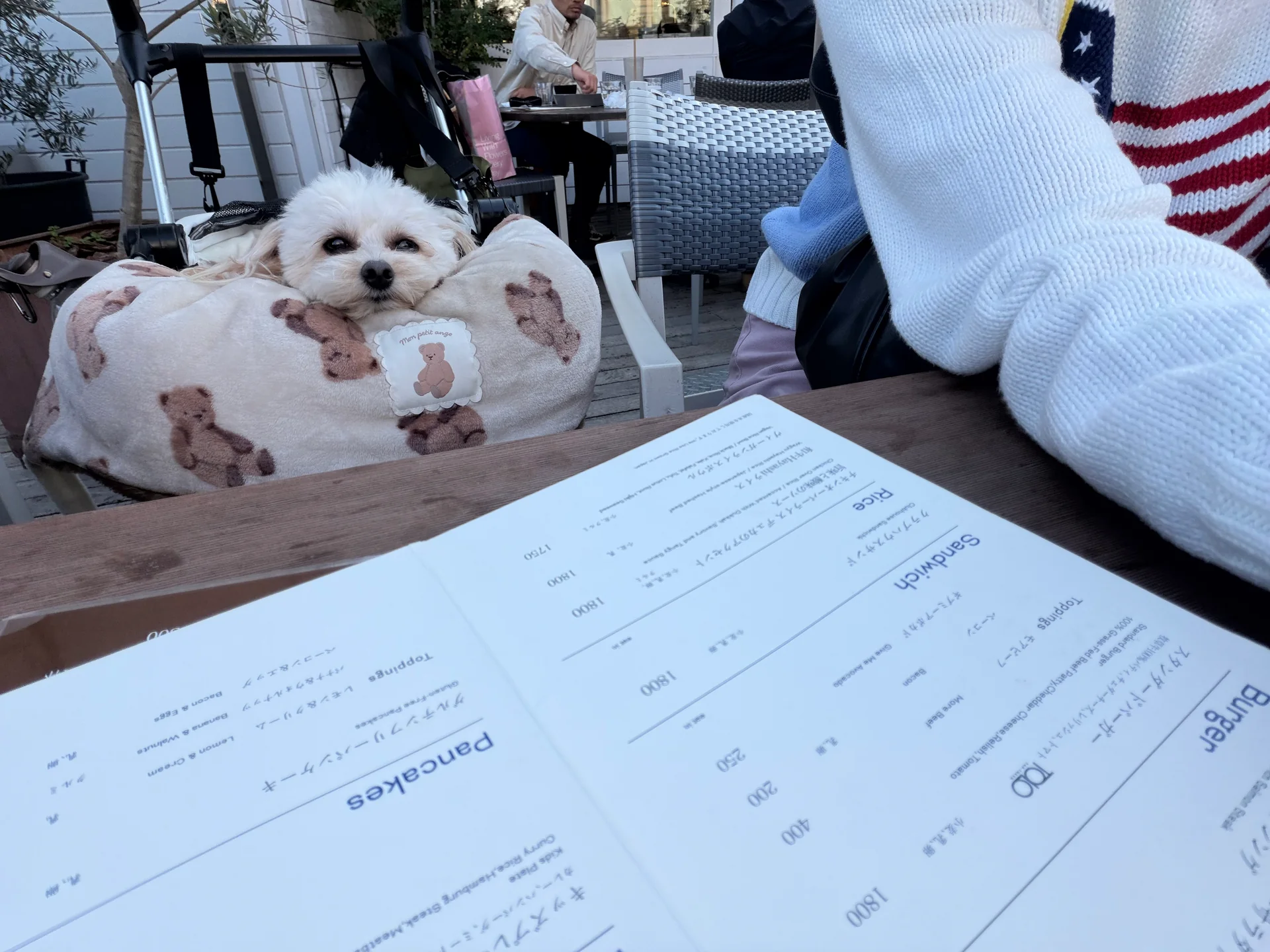 ロンハーマン カフェ二子玉川店(東京都世田谷区)の犬同伴・ワン活情報